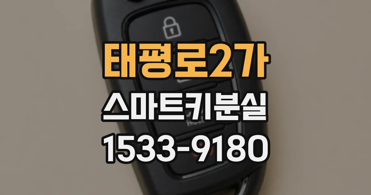 태평로2가 스마트키분실