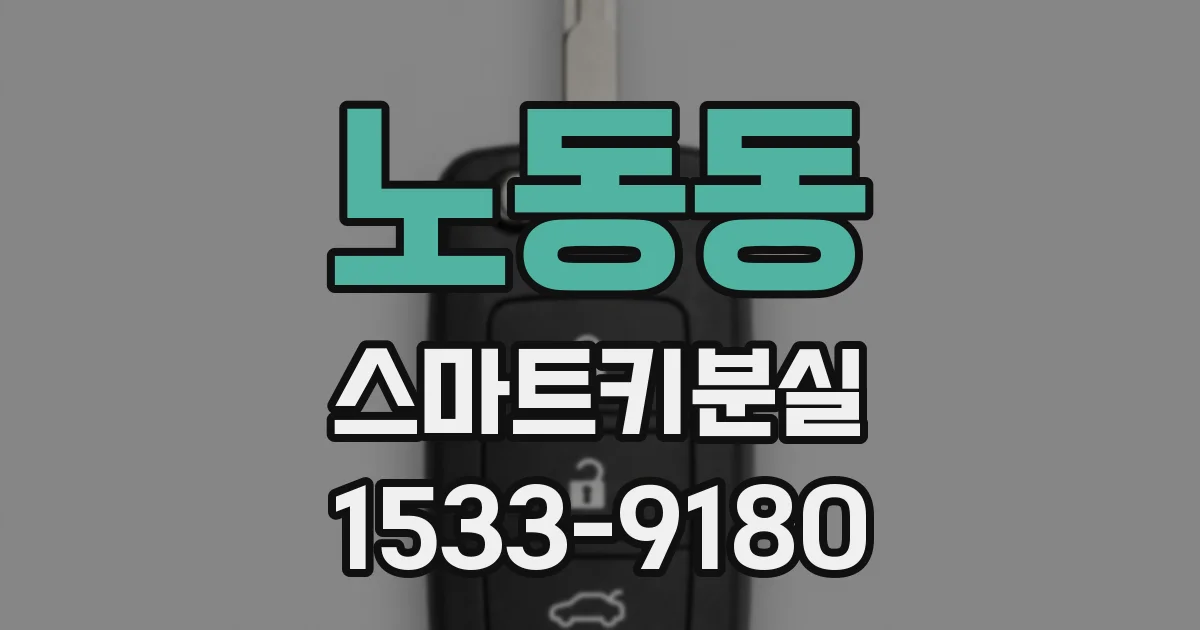 노동동 스마트키분실