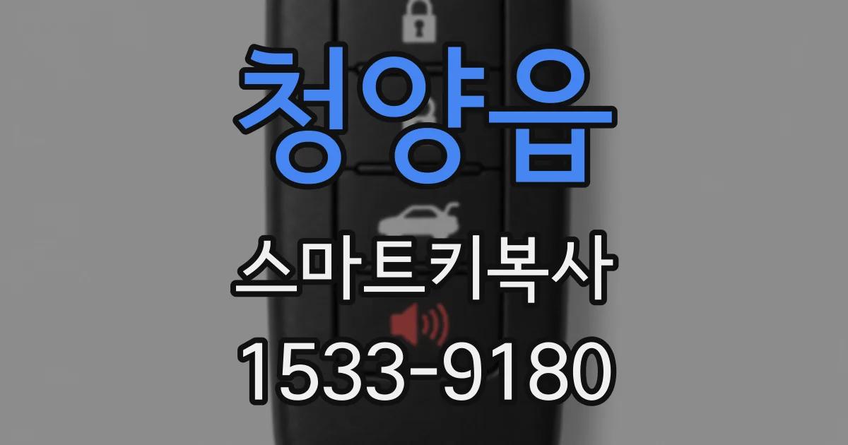청양읍 스마트키복사