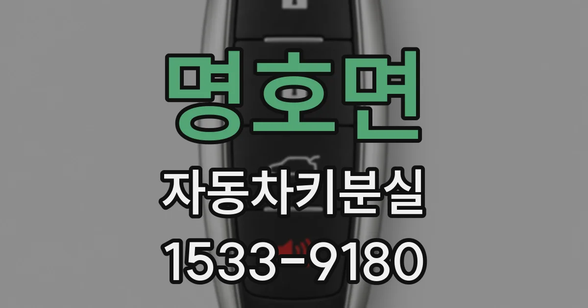 명호면 자동차키분실