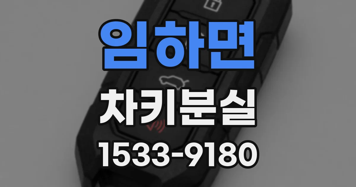 임하면 차키분실