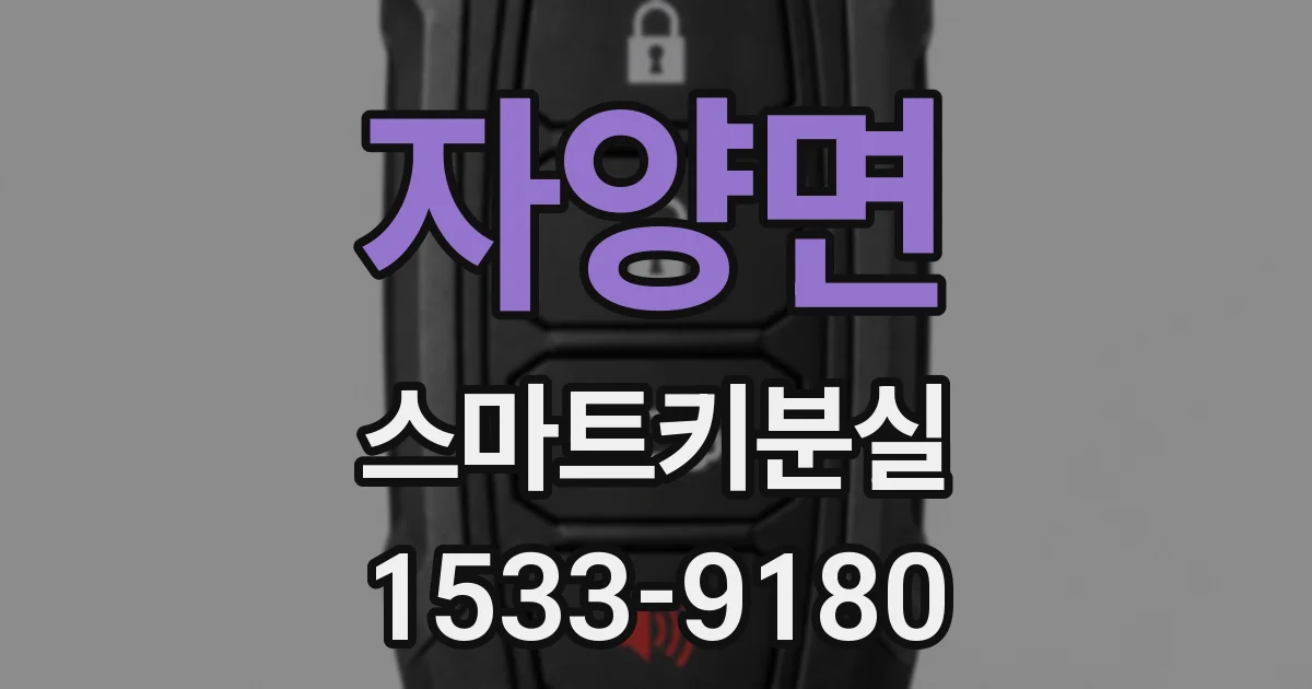 자양면 스마트키분실