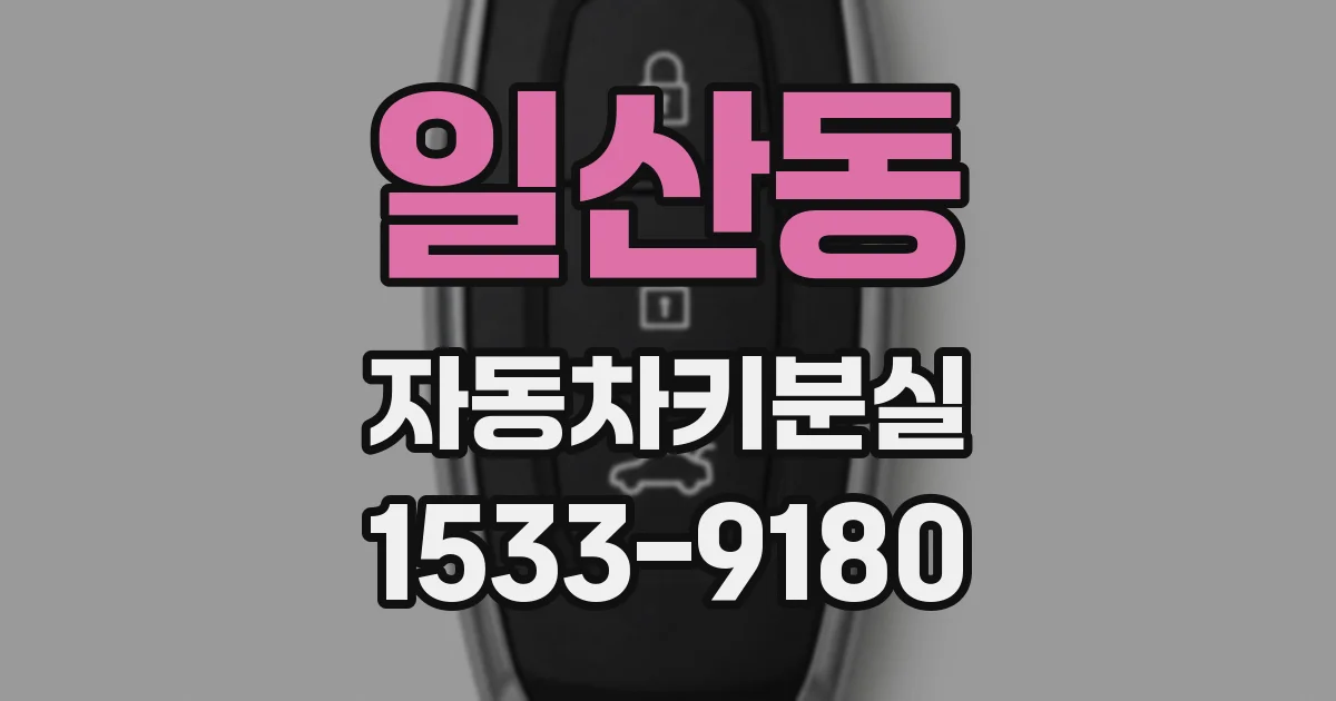 일산동 자동차키분실