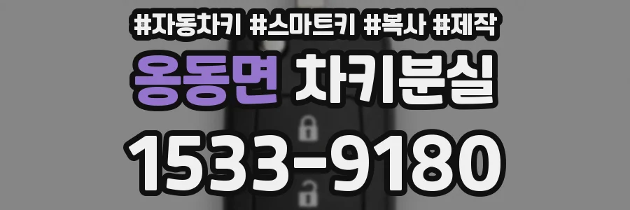 옹동면 차키분실