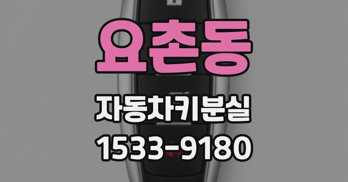 요촌동 자동차키분실