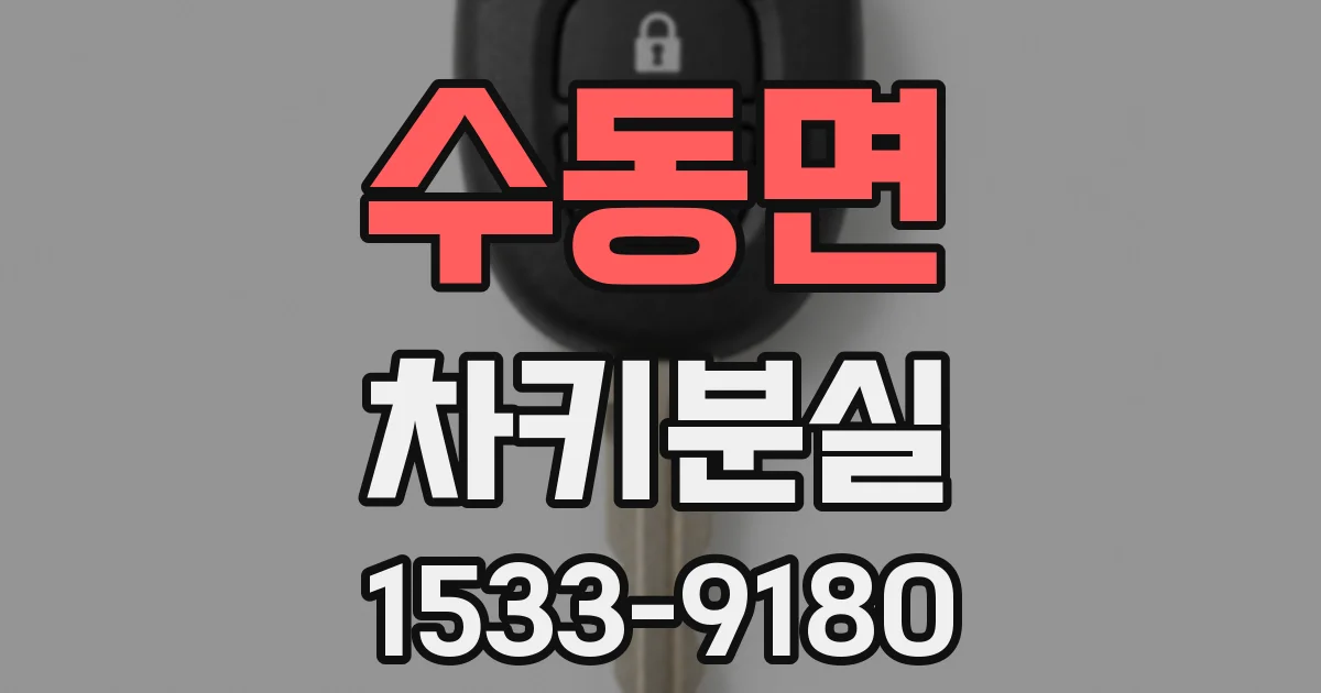 수동면 차키분실