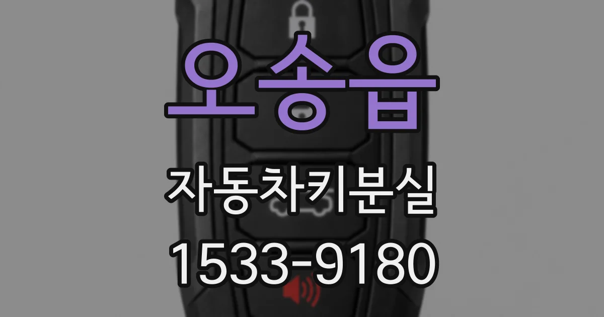 오송읍 자동차키분실