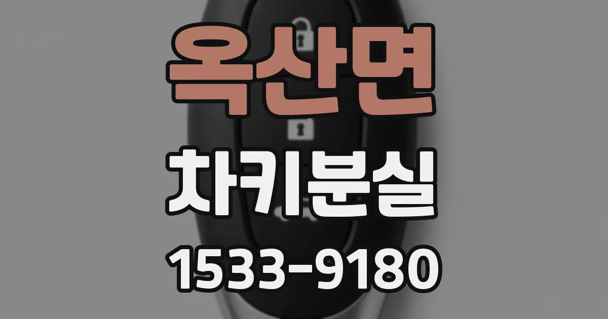 옥산면 차키분실