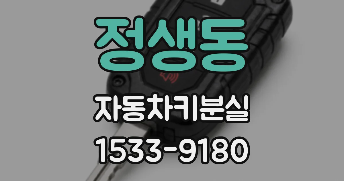 정생동 자동차키분실