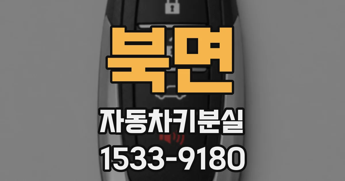 북면 자동차키분실