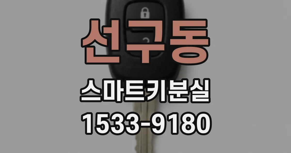 선구동 스마트키분실