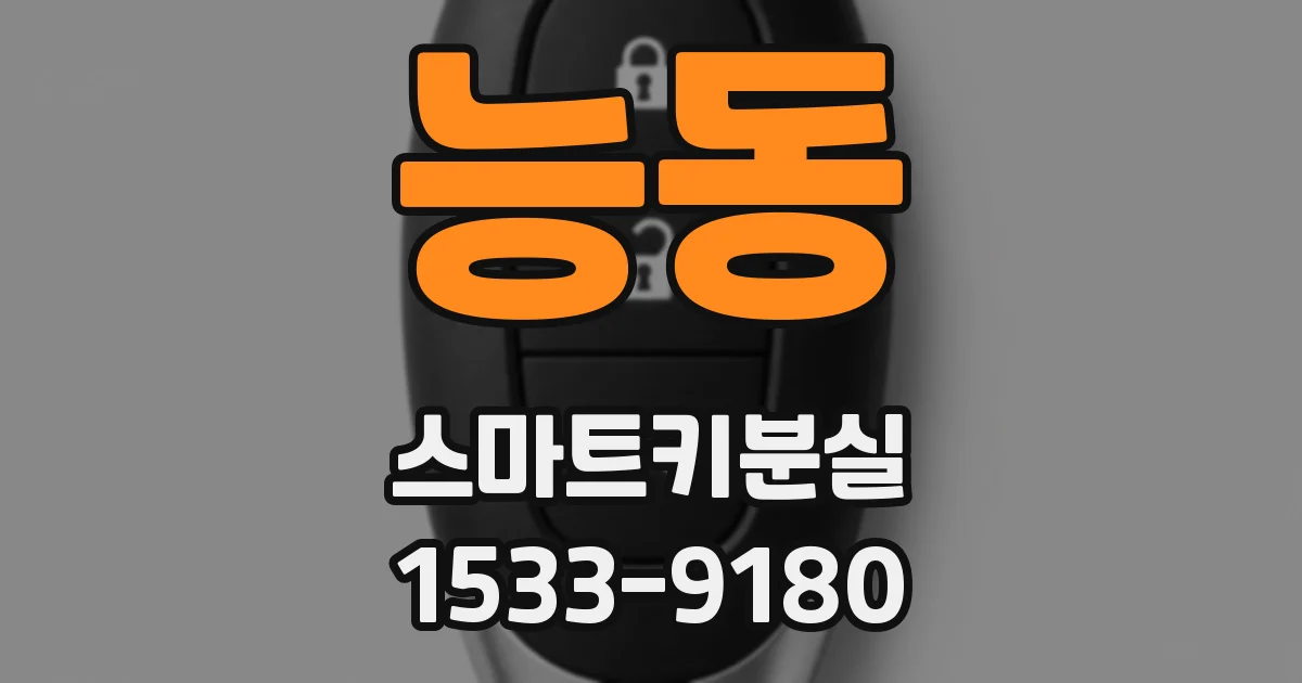 능동 스마트키분실