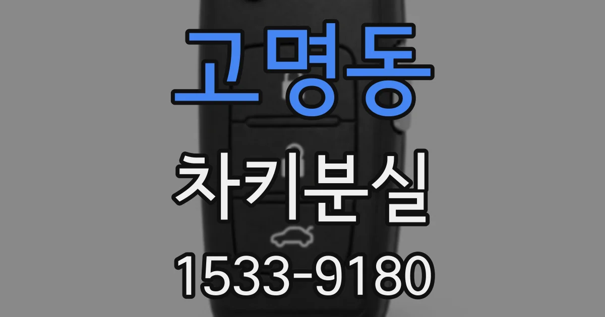 고명동 차키분실