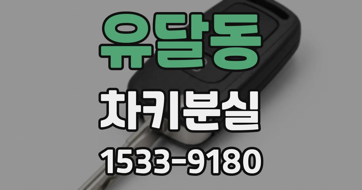 유달동 차키분실
