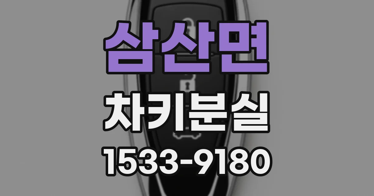 삼산면 차키분실