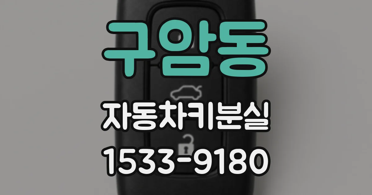 구암동 자동차키분실
