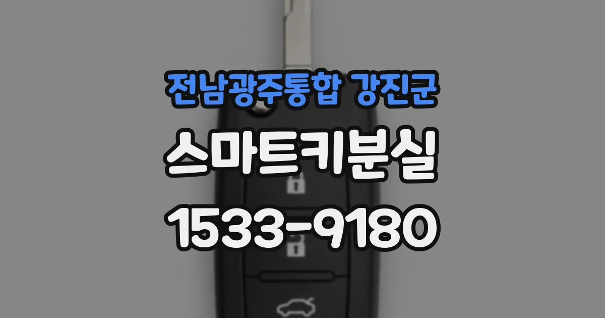 전남광주통합 강진군 스마트키분실