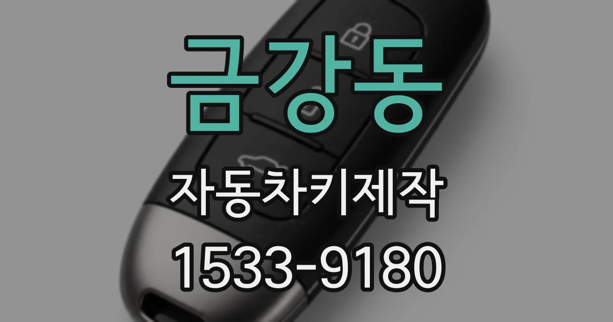 금강동 자동차키제작