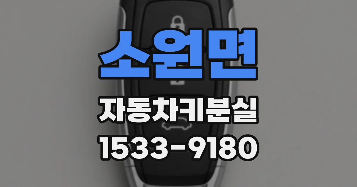 소원면 자동차키분실