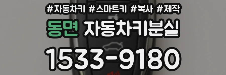 동면 자동차키분실