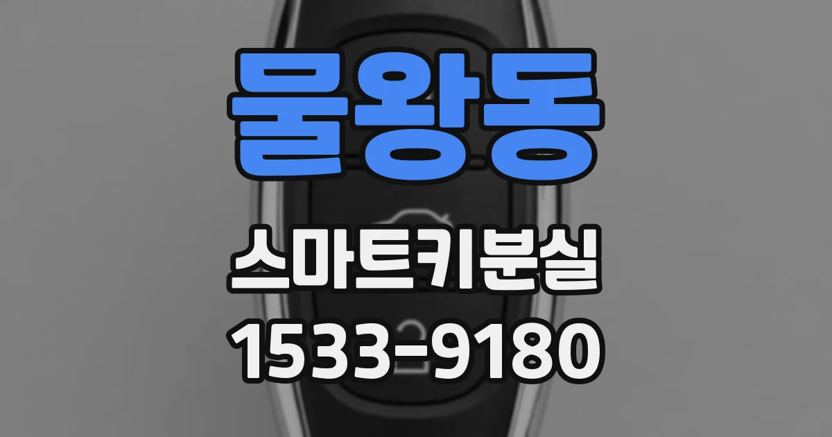 물왕동 스마트키분실