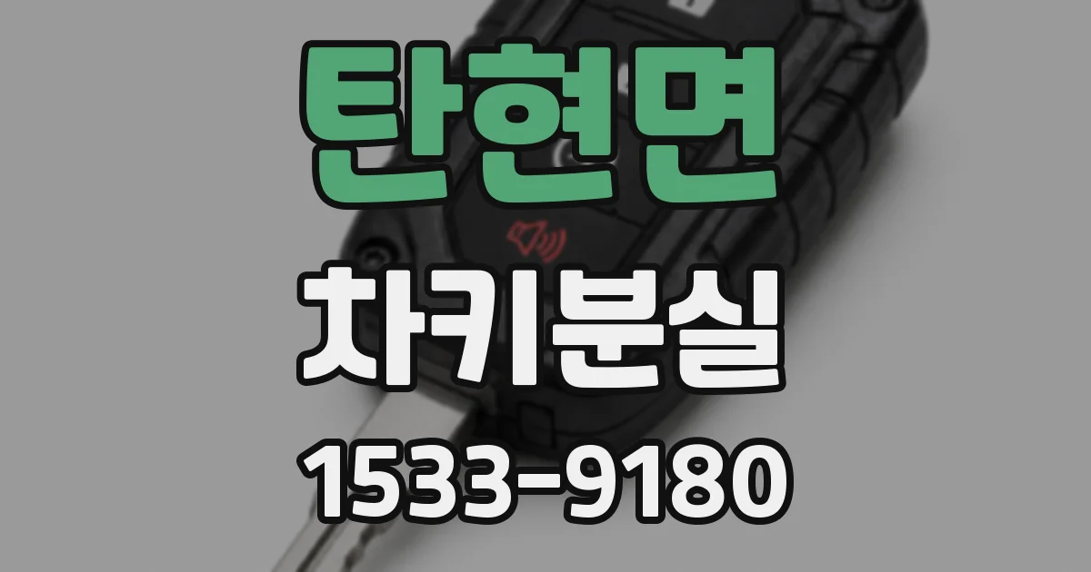 탄현면 차키분실