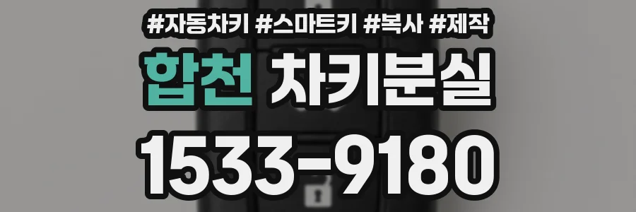 합천 차키분실
