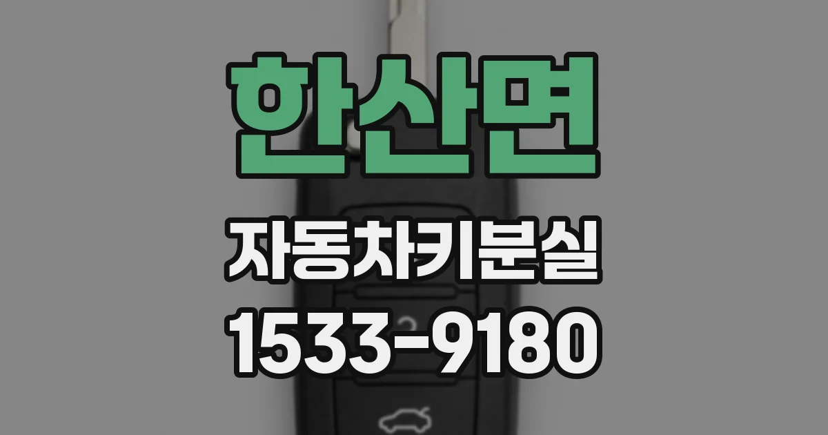 한산면 자동차키분실