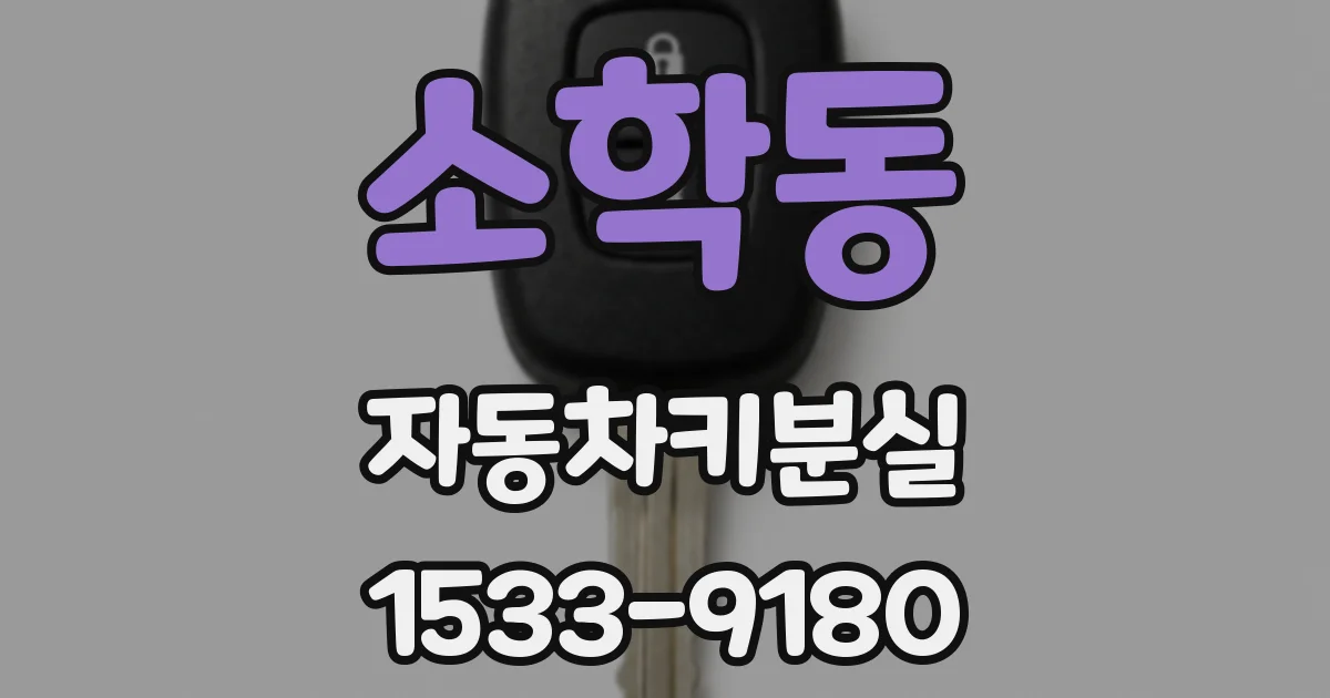 소학동 자동차키분실