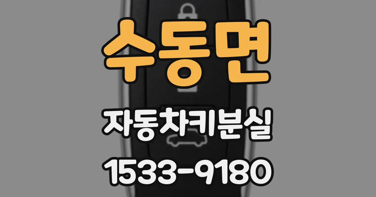 수동면 자동차키분실