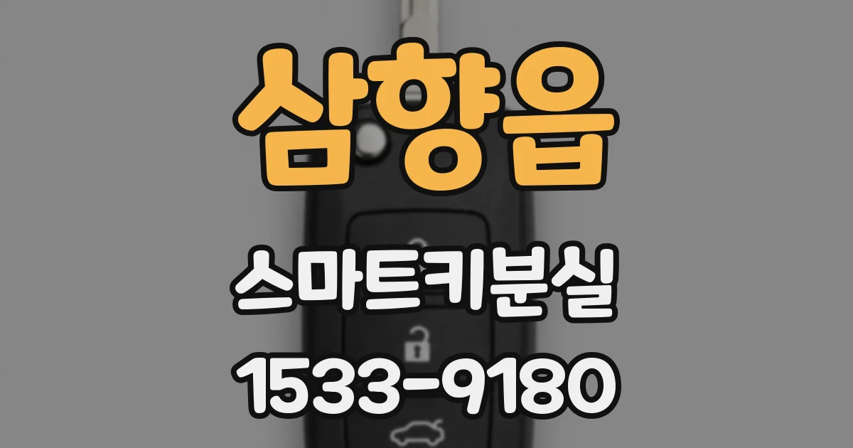 삼향읍 스마트키분실