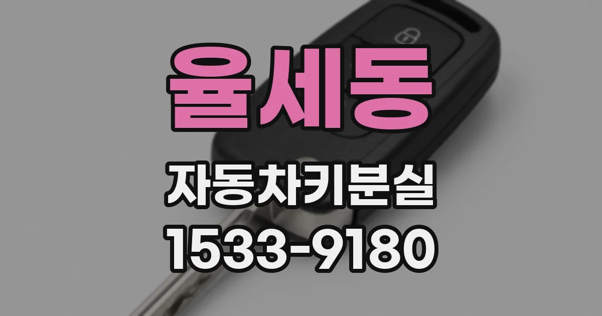 율세동 자동차키분실