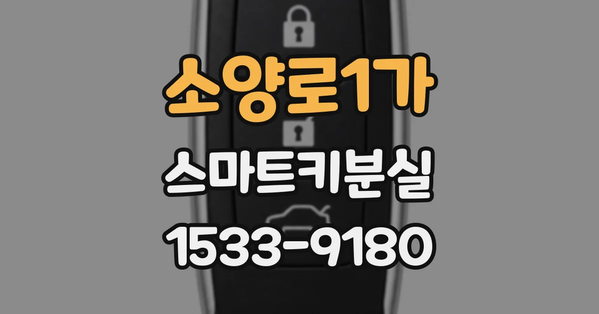 소양로1가 스마트키분실