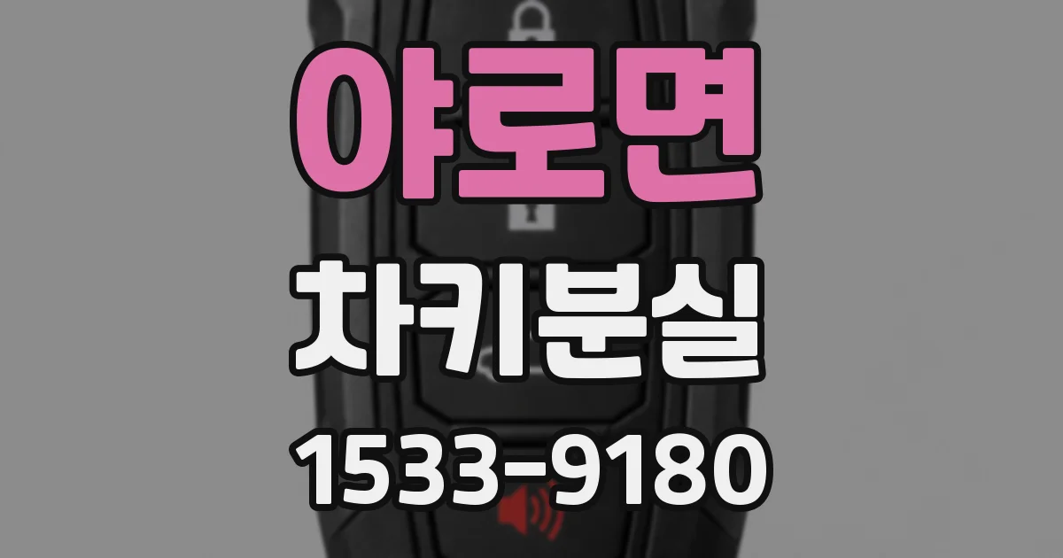 야로면 차키분실