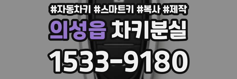 의성읍 차키분실