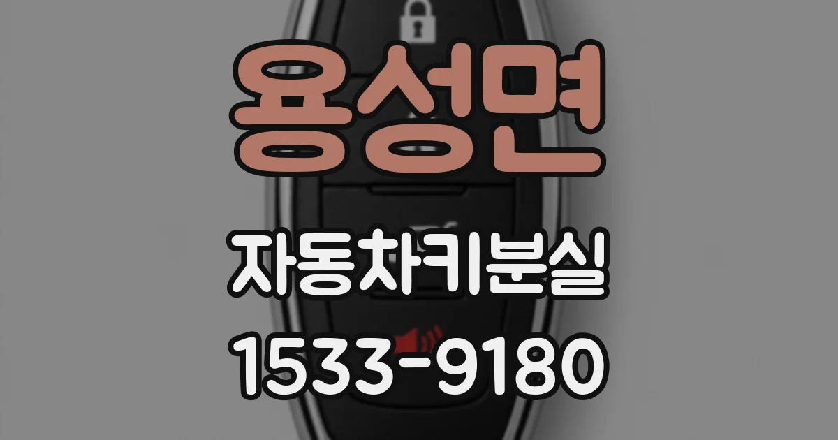용성면 자동차키분실