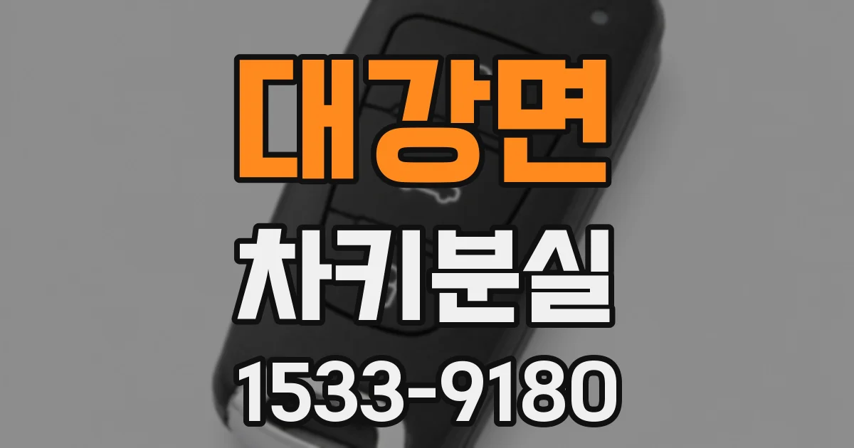 대강면 차키분실