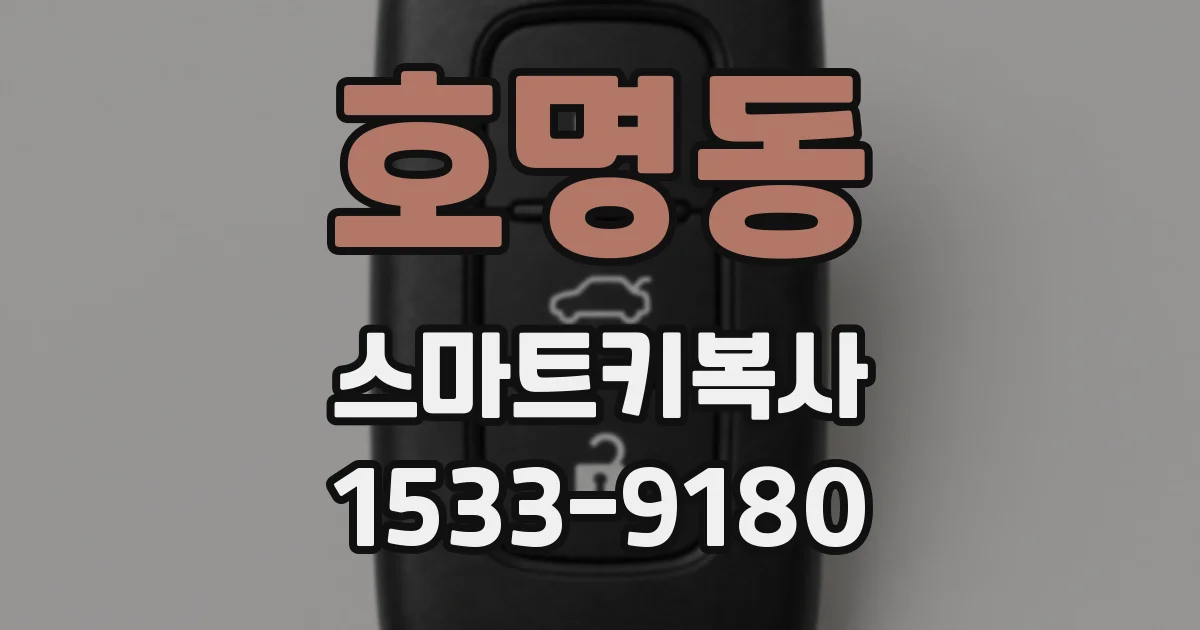 호명동 스마트키복사