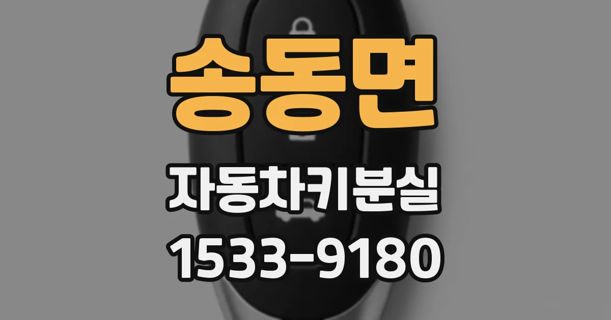 송동면 자동차키분실