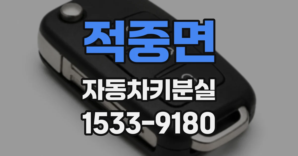 적중면 자동차키분실