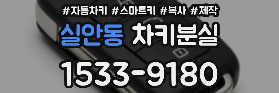 실안동 차키분실