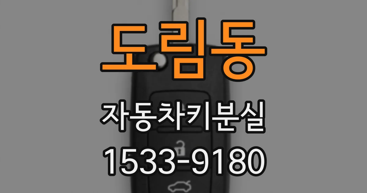 도림동 자동차키분실