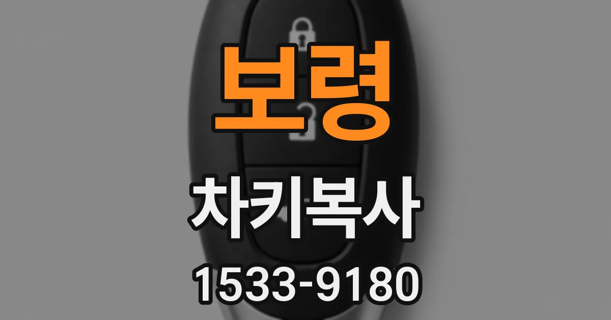 보령 차키복사