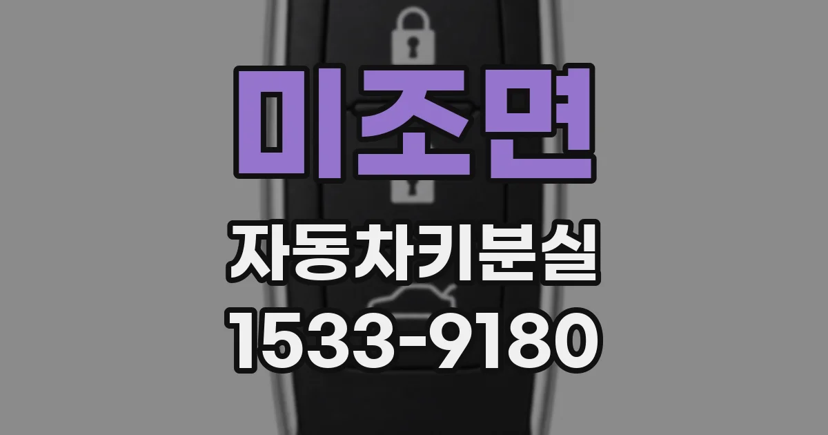 미조면 자동차키분실