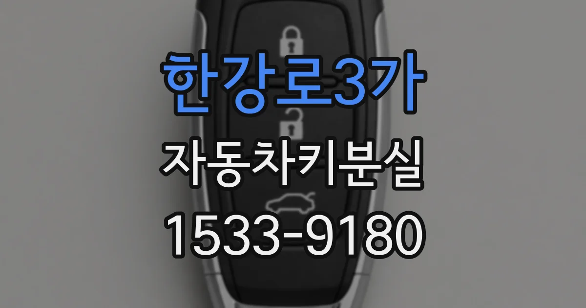 한강로3가 자동차키분실