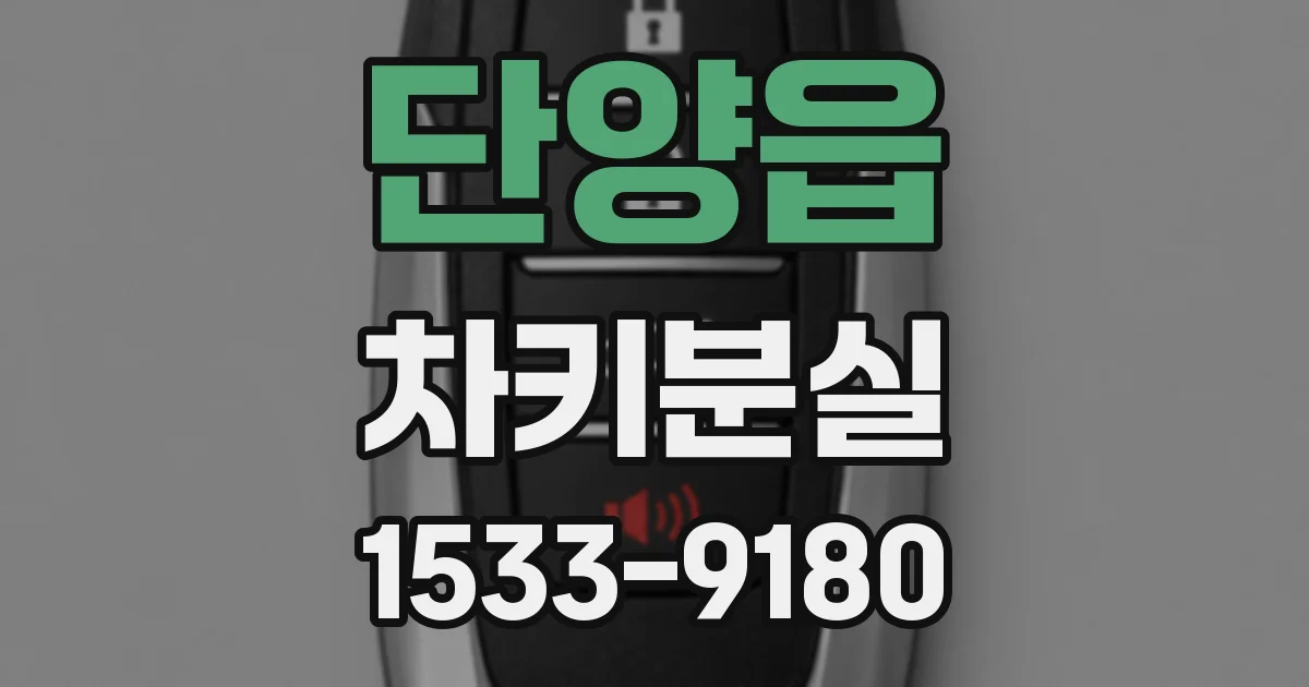 단양읍 차키분실