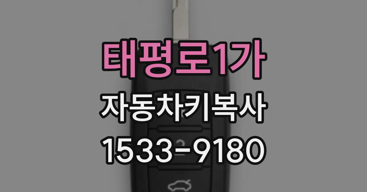 태평로1가 자동차키복사
