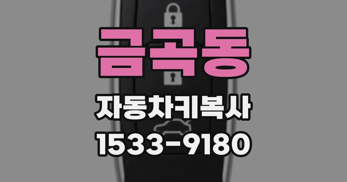 금곡동 자동차키복사