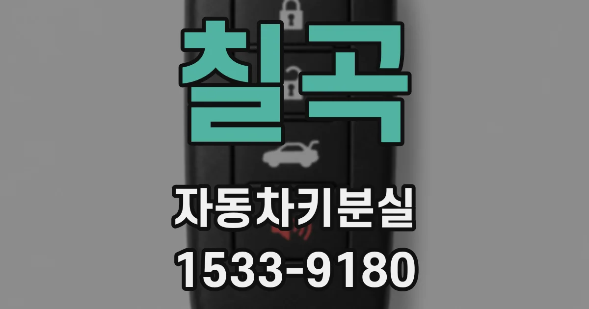 칠곡 자동차키분실