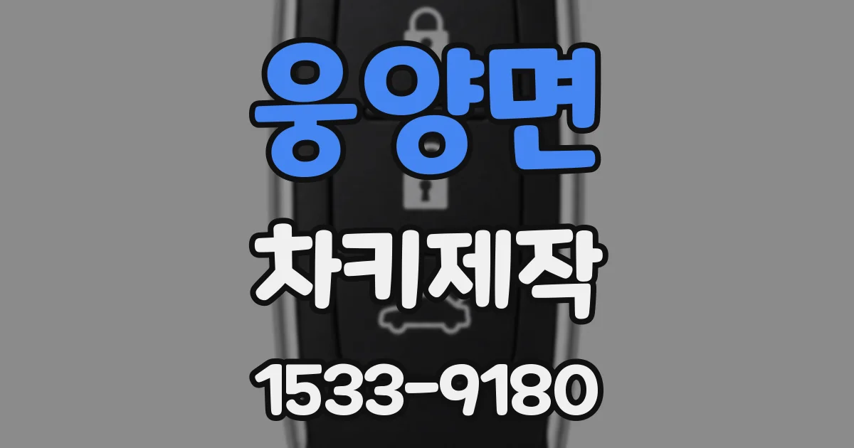 웅양면 차키제작